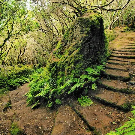 아파트 Chocolate Rustic Apartment, In Tegueste